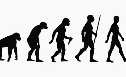 Un estudio genético asegura que los seres humanos seguimos evolucionando