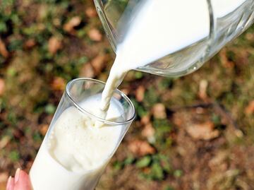 Esta es la leche recomendada para prevenir la diabetes
