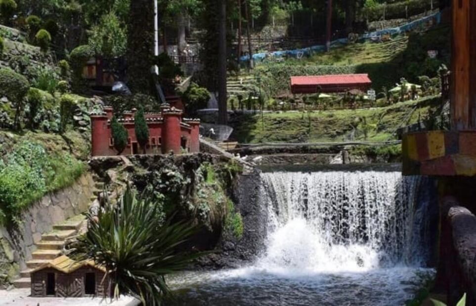 Disfruta del frío y el bosque en el parque nacional de La Marquesa