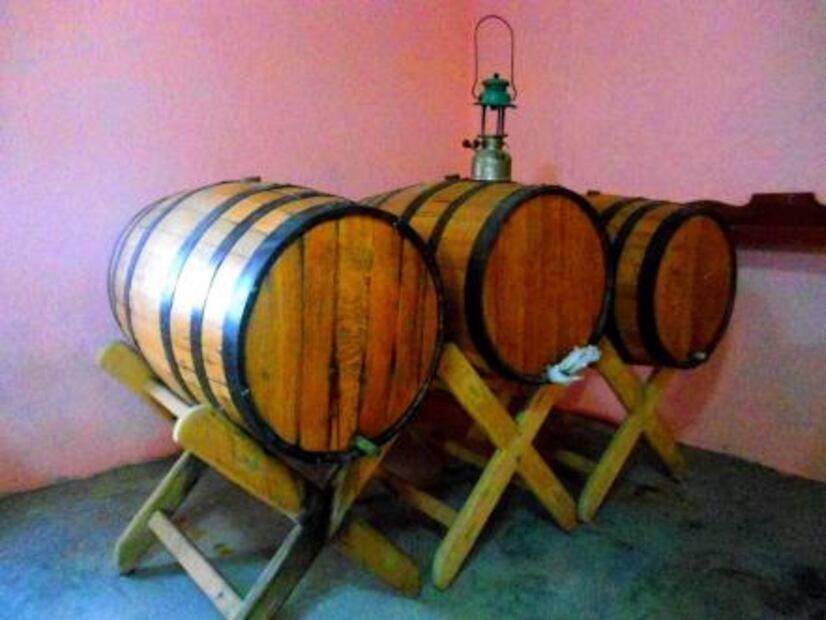 16 things which can only be produced in Mexico