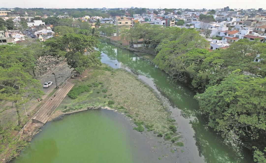 La laguna de Las Ilusiones fue declarada Área Natural Protegida en 1995. Foto: Luma López/ EL UNIVERSAL.