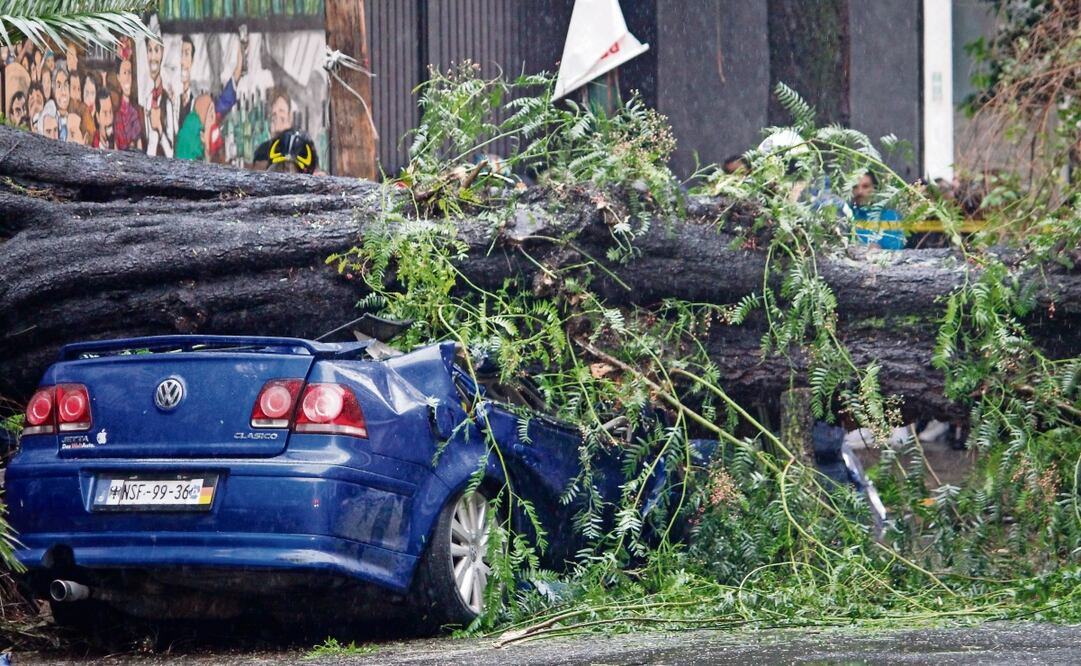 Una madre y su hijo que esperaban dentro del auto a que pasara la lluvia quedaron atrapados al caerles un árbol.
Foto: Luis Camacho EL UNIVERSAL