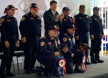 Unidad Canina de la Policía Bancaria e Industrial celebra su 28 aniversario; SSC CDMX destaca su papel estratégico