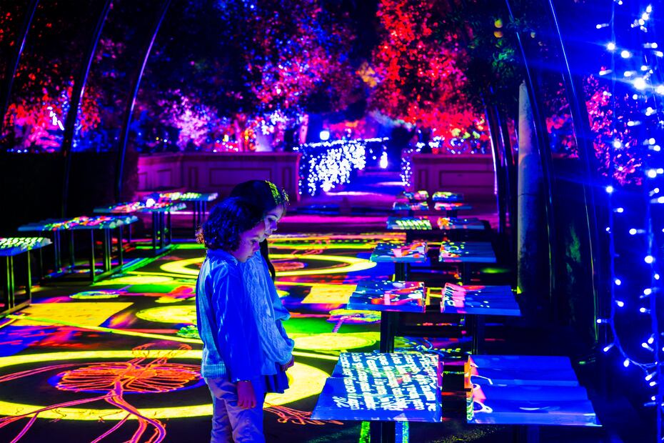 Esta experiencia es un plan cultural distinto para disfrutar en pareja, familia o con amigos en la CDMX. Foto: Cortesía Fever