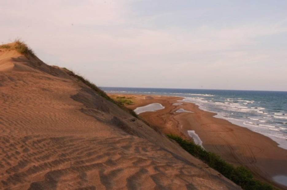 Playas de Veracruz: estas son algunas de las mejores