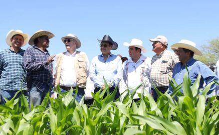 Hidalgo eleva producción y productividad del campo; reconocen acciones de gobernador del estado