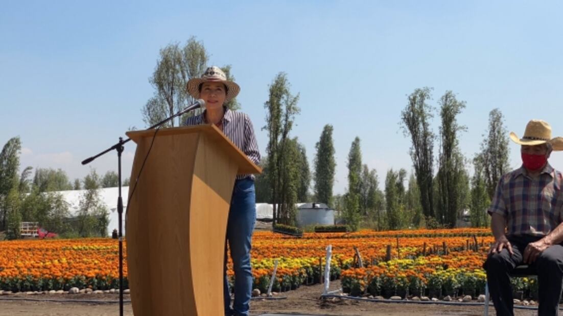 Xochimilco venderá más de 2 millones de macetas de cempasúchil en la feria de “Flores del Mictlán”