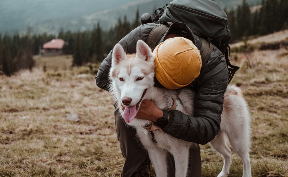 Así sientes los perros el estrés de sus dueños. Foto: Canva