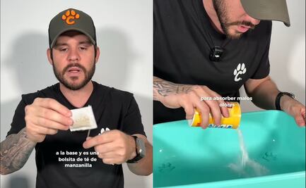 ¿Cómo colocar la arena para gato?; descubre la manera correcta para que rinda por más tiempo