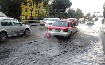 Caída de árboles y encharcamientos por lluvia en CDMX