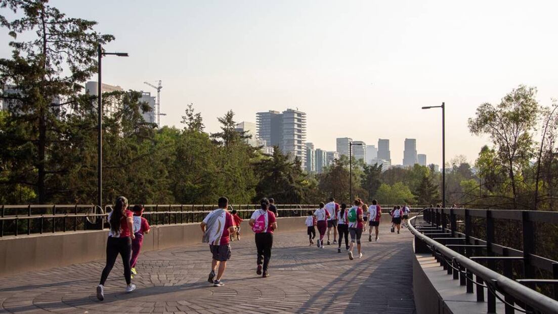 Foto: Facebook "Bosque de Chapultepec"
