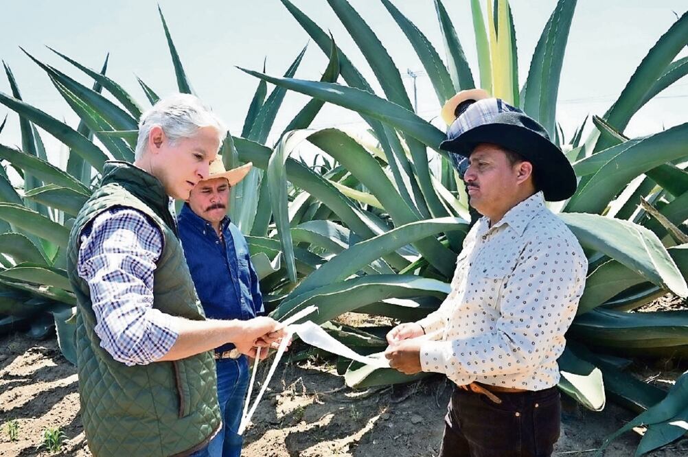 Productores de maguey pidieron al mandatario estatal ayuda para que sus productos puedan llegar a más mexicanos. (ESPECIA)