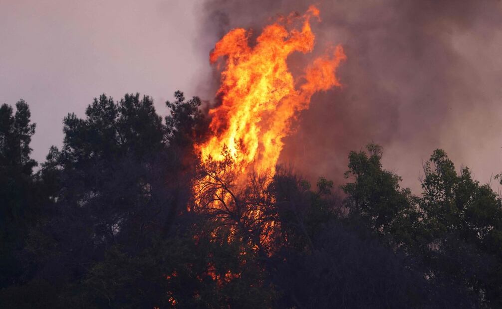 Los incendios forestales amenazaron con engullir partes de Hollywood. (09/01/25) Fotos: AFP