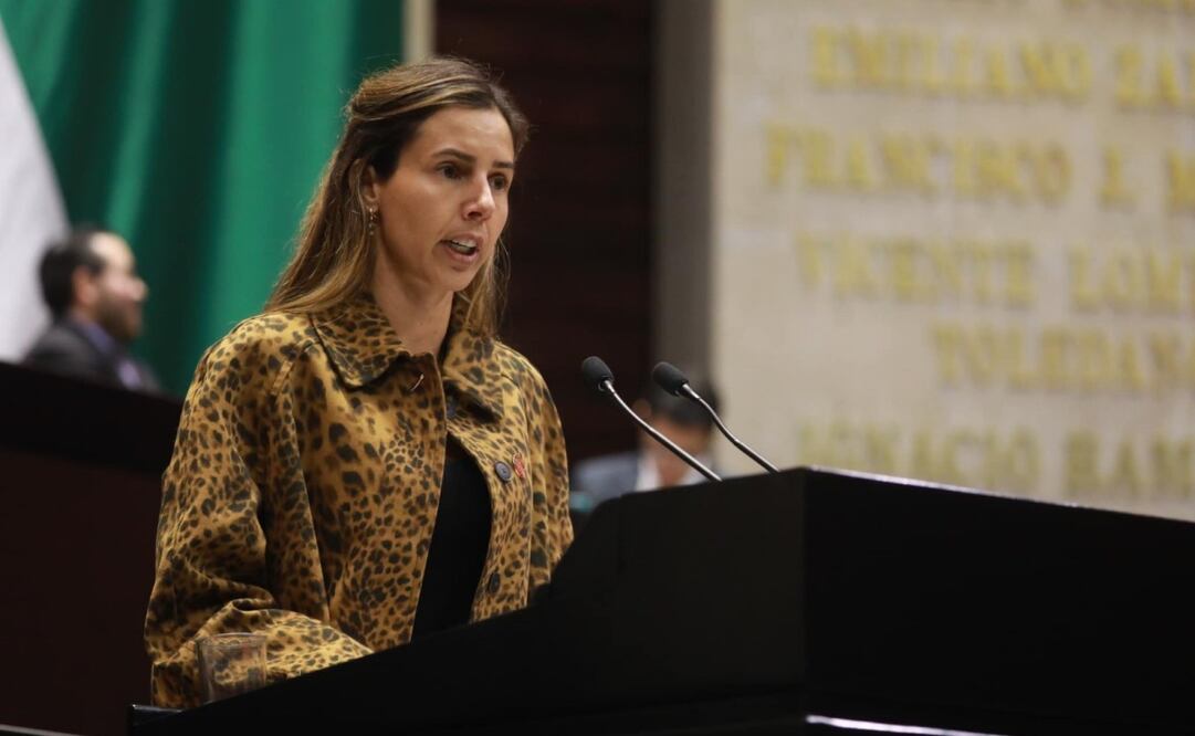 Alejandra Chedraui Peralta, diputada federal de Morena. Foto: Especial