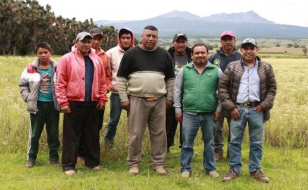 ¡Ya comenzó la temporada de maíz cacahuacintle!