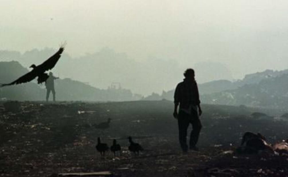 ¿Cuán grave es el desperdicio de alimentos en el mundo?