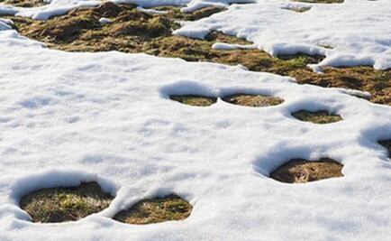 ¿Por qué debe importarnos el cambio climático?