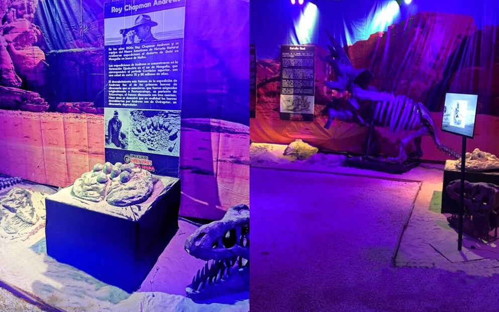 Foto: Facebook “Dinosaurios Animatronics Recargado”