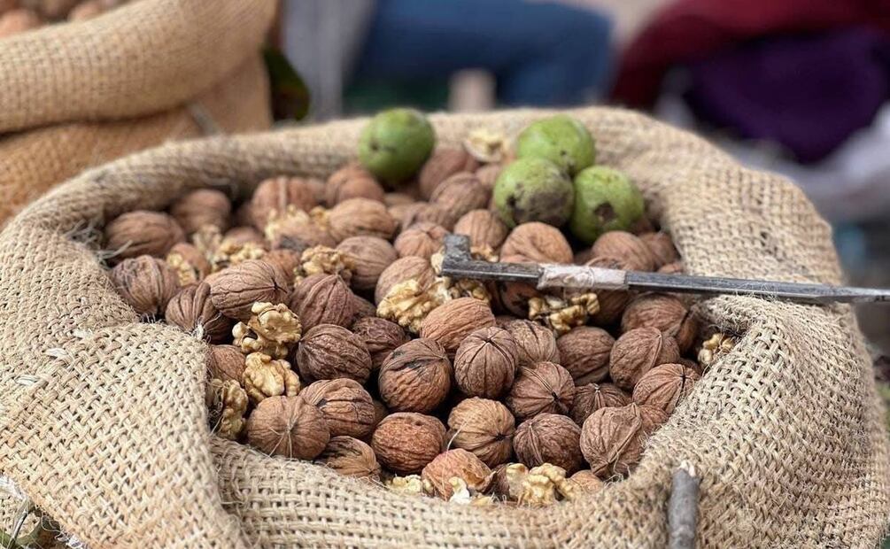 ¡Lánzate a la Feria de la Nuez Amecameca 2025! Foto: Gobierno de Amecameca / Facebook