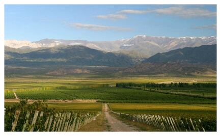 El mundo del vino se mueve muy rápido