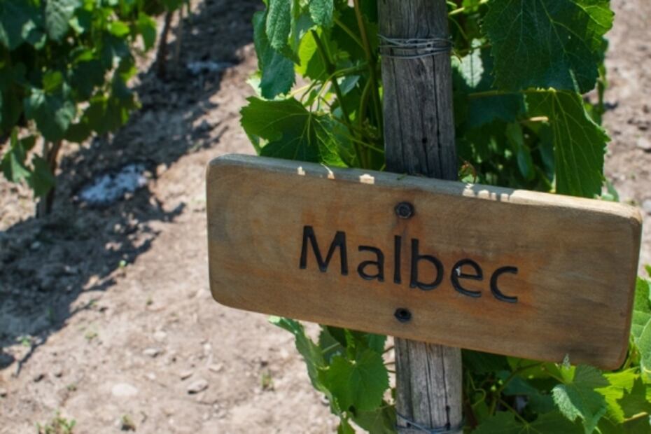 Organizan cata virtual para celebrar el Día Mundial del Malbec