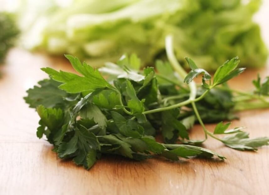 Conoce qué hierbas y hortalizas puedes cultivar en casa 
