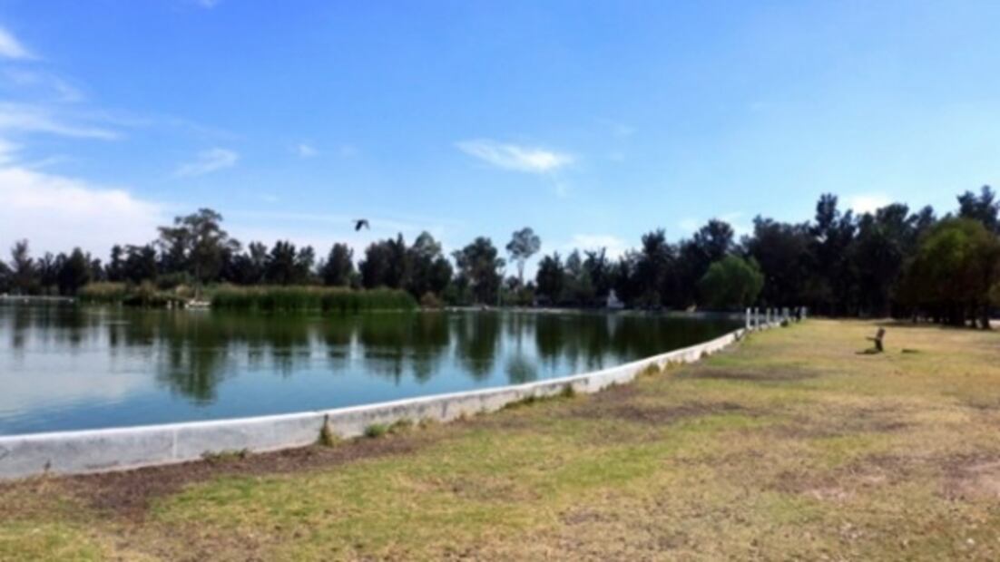 Parques y bosques abiertos en CDMX: qué sí y qué no puedes hacer