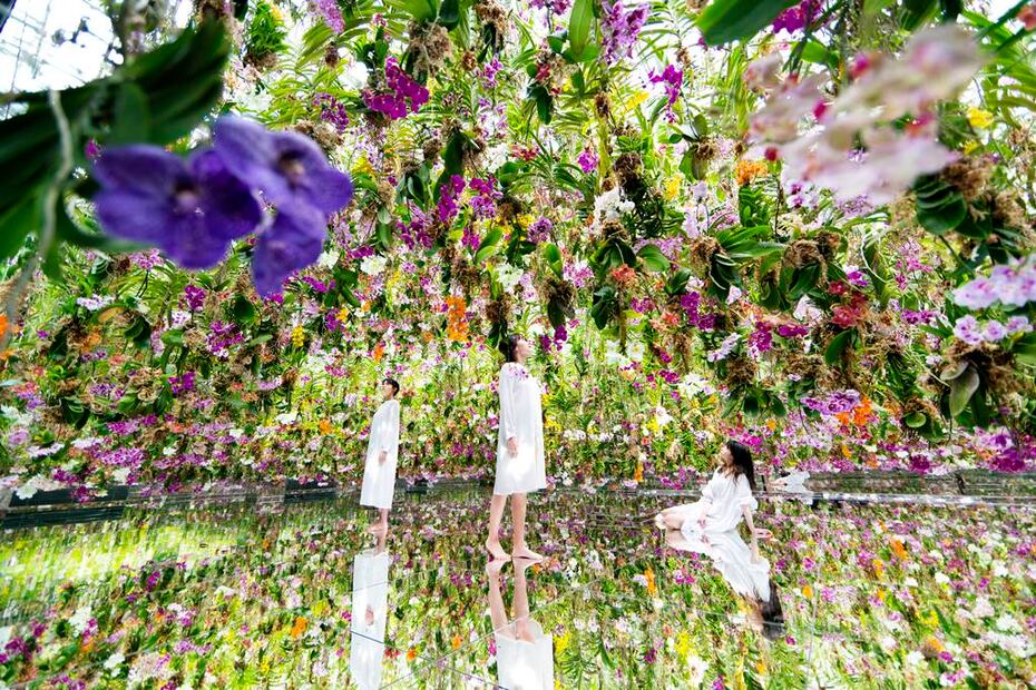 Foto: teamLab