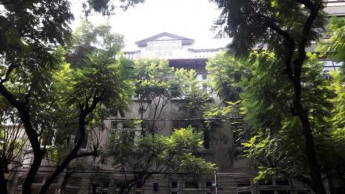 Los "abuelos de concreto" en la Condesa aún tienen historias por contar