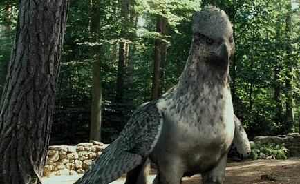 Comienza el rodaje de 'spin-off' de "Harry Potter"