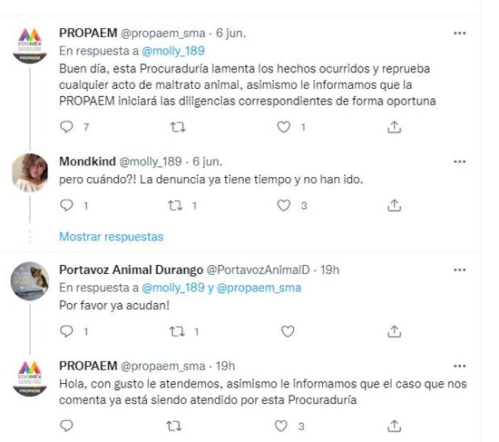 Abandonan a perros en veterinaria de Chimalhuacán; llevan un mes encerrados, denuncian vecinos 