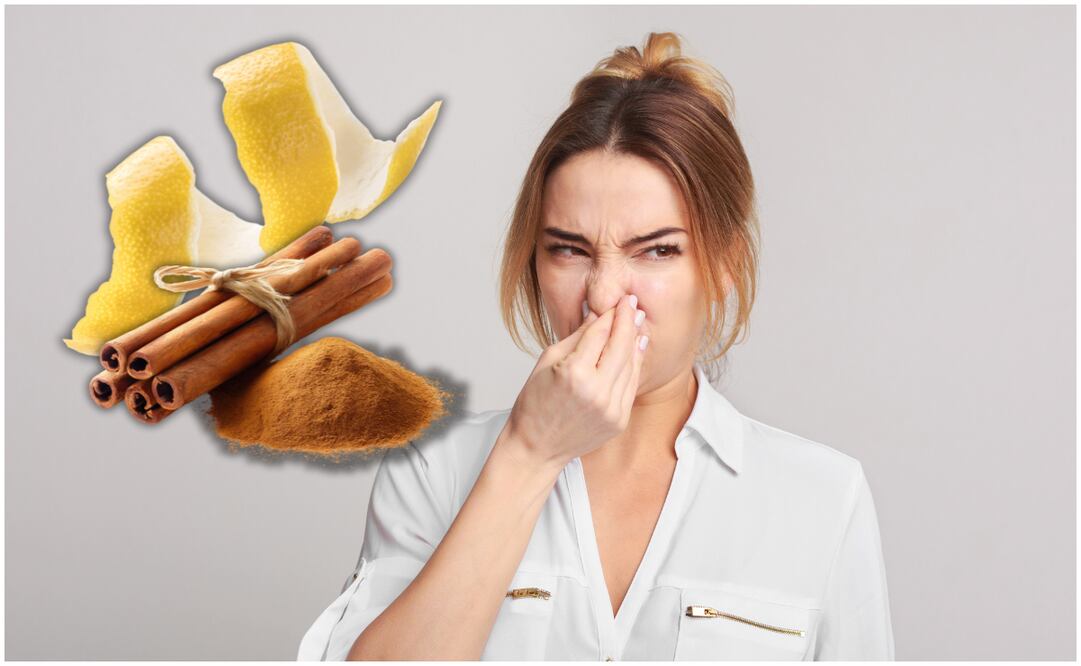 Esta mezcla casera ayuda a neutralizar los malos olores de comida, humedad, frituras y tabaco. Foto: Canva