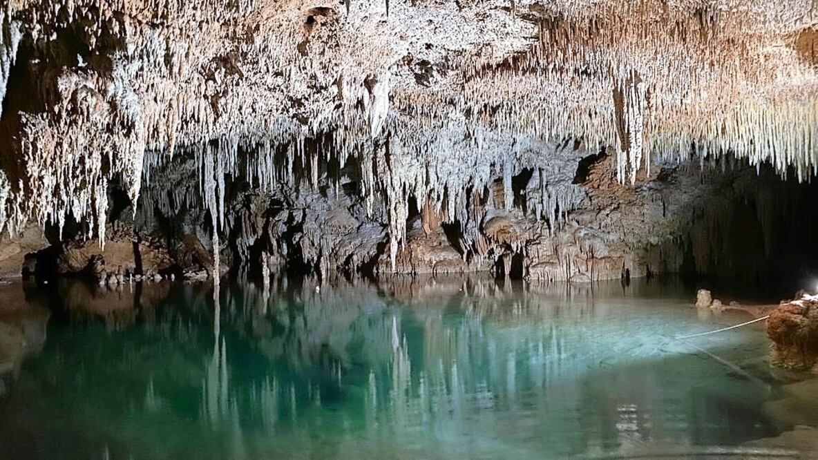 Oppenheimer cuenta con un gran número de estalagmitas y estalactitas —formaciones calcáreas milenarias— que se unen del techo al suelo y viceversa. Foto: Elías Siebenborn y Guillermo D'christy