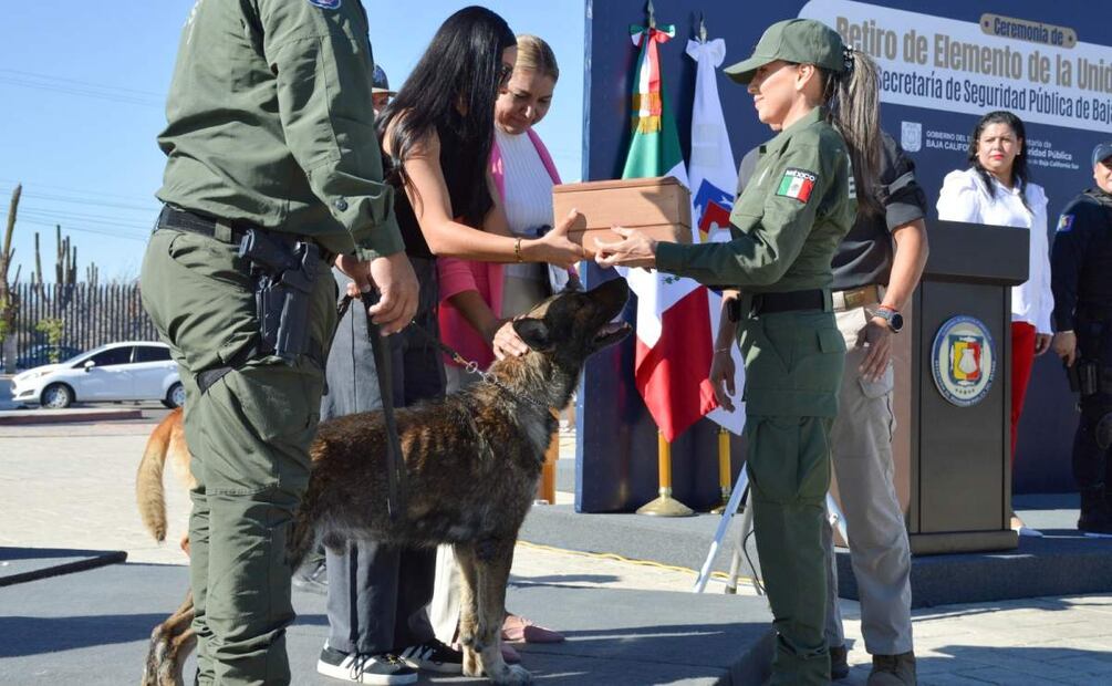 Entrega de arnés y la metopa -pieza de reconocimiento- por los años de servicio de "Sagus" (10/06/2025). Foto: Especial