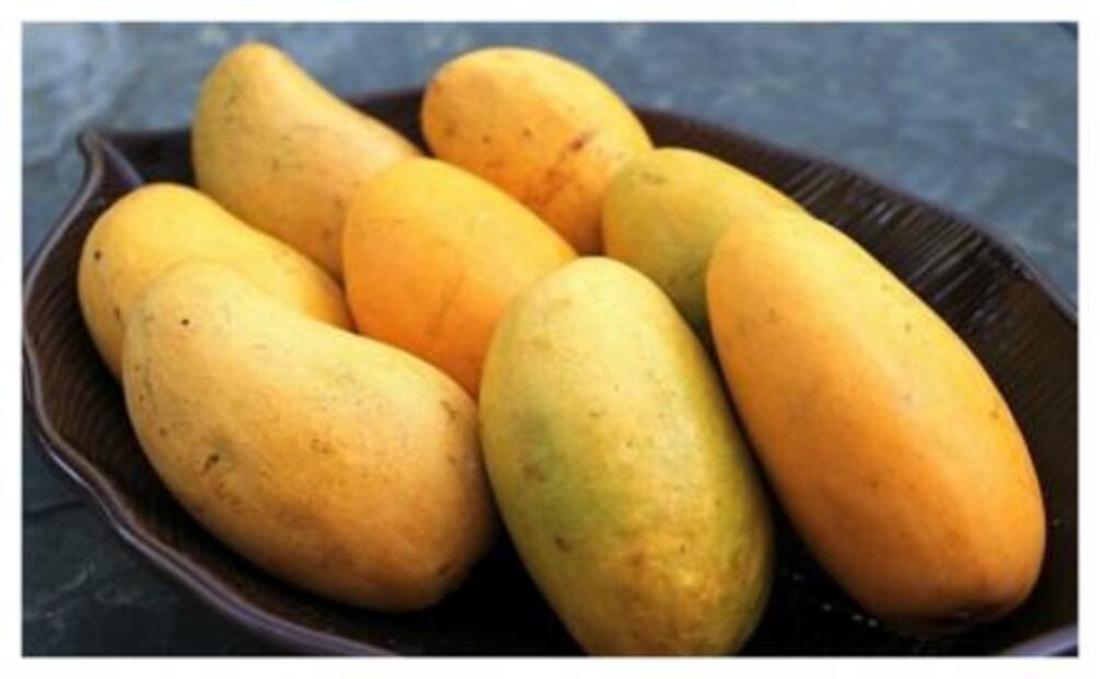 ¡Orgullo mexicano! Conoce estos productos que cuentan con Denominación de Origen mexicana