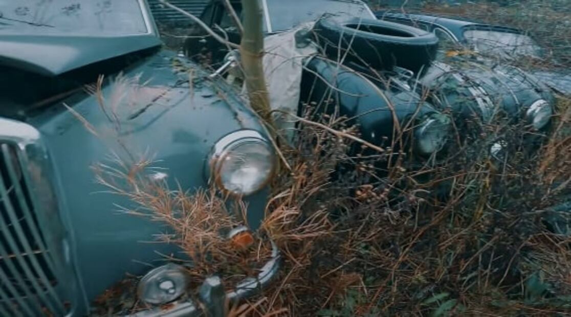 Encuentran colección de autos lujosos y clásicos abandonados en un granero