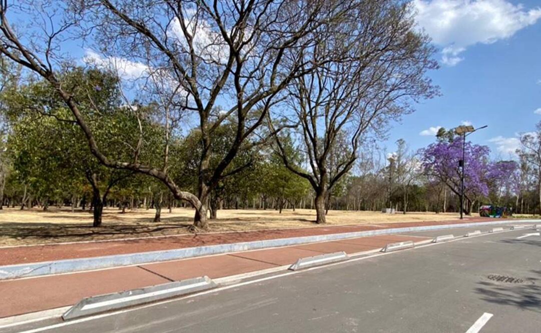 La ciclovía fue construida con más de mil kilos de plástico reciclado. Foto: Tomada de Twitter