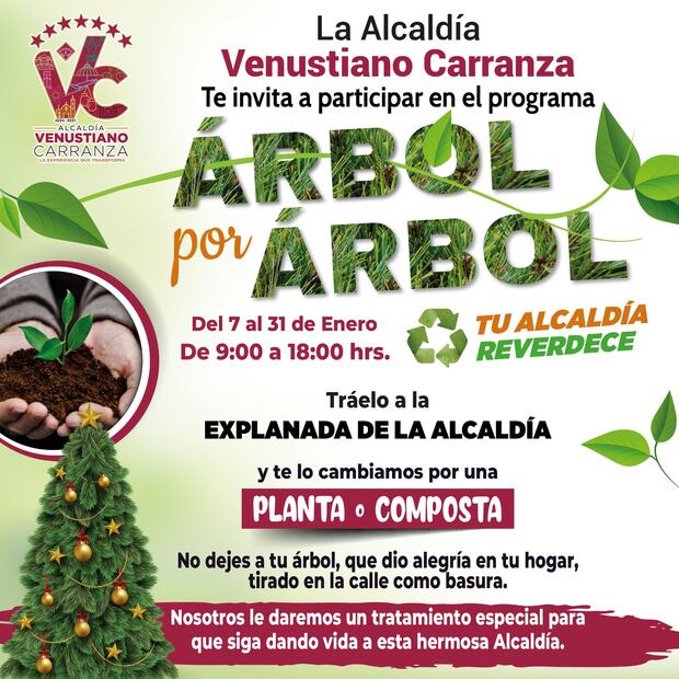 Recicla tu árbol, alcaldía Venustiano Carranza. Foto: Especial