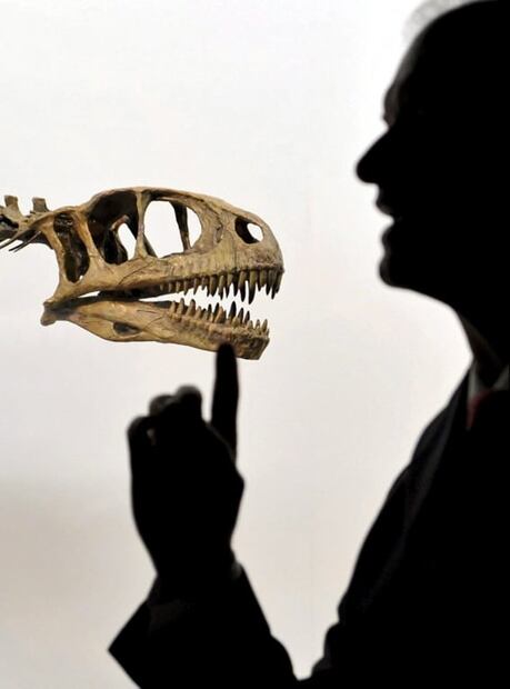 Subastas de esqueletos de dinosaurios podría dejar a la ciencia sin conocer especies nunca antes identificadas 