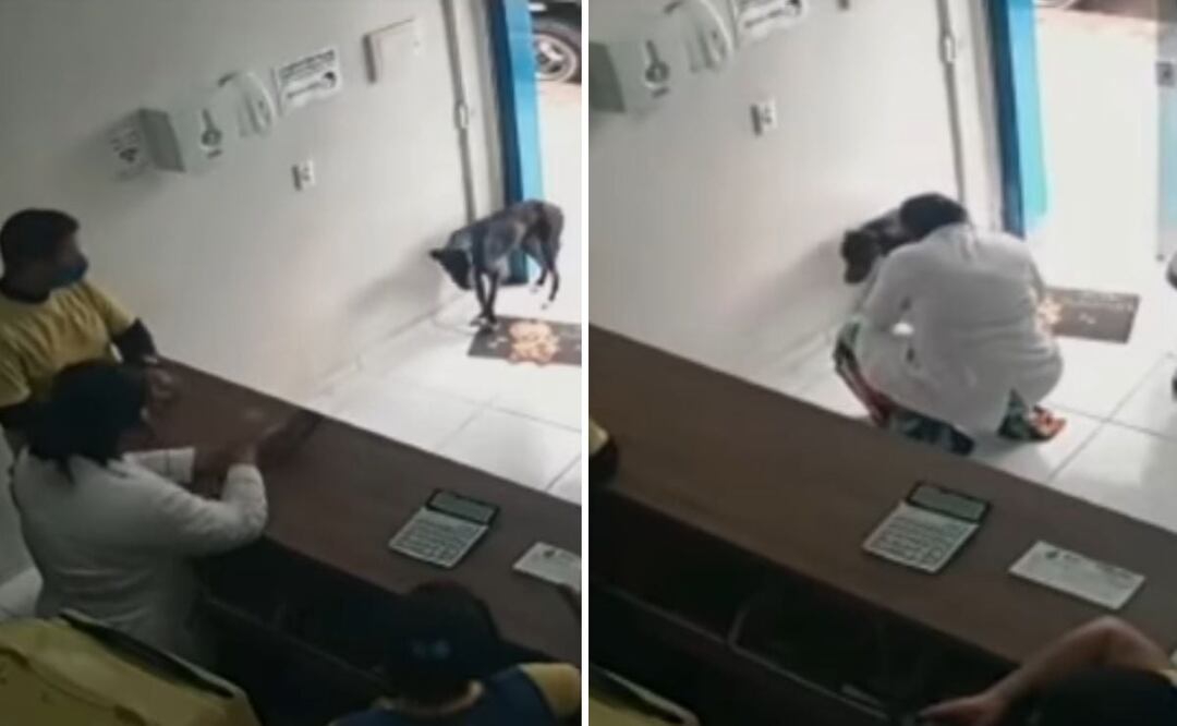 ’'Llegó y mostró su pata’', la tierna historia de un perro que se acercó a una veterinaria para que lo atendieran. Foto: YouTube galeria mais Galeria