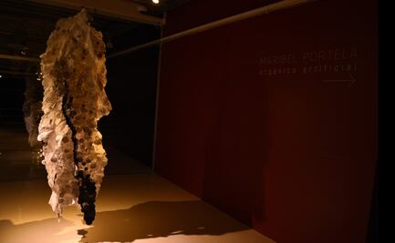 "Orgánico artificial", de Maribel Portela, llega al Museo del Chopo