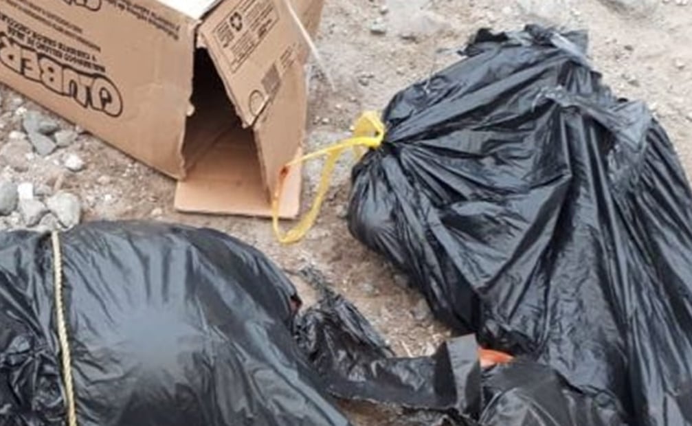 Hallan 169 bolsas con restos humanos en fosa clandestina de Zapopan. Foto: Archivo