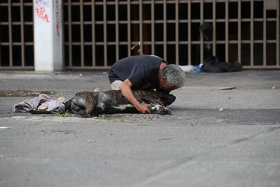 Justicia para Zeus: Vinculan a proceso a sujeto que asesinó de un disparo al perrito en la Cuauhtémoc