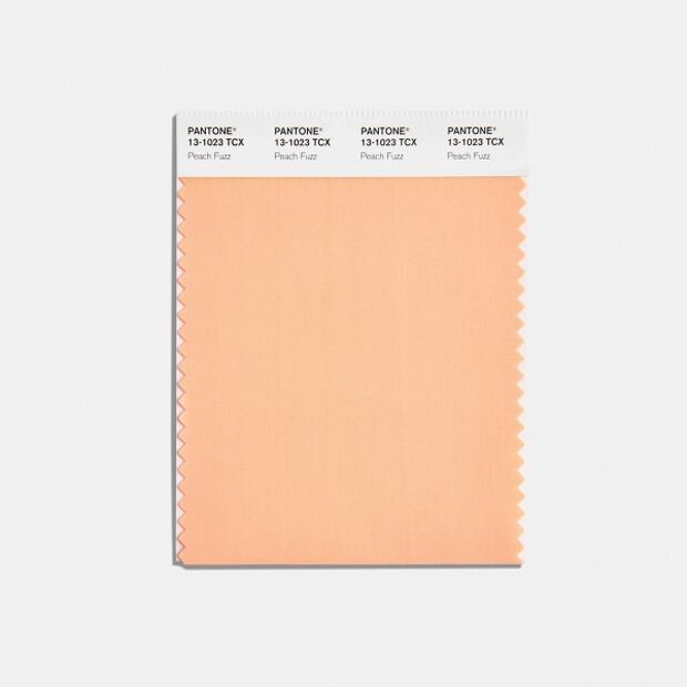 Foto: Instituto Pantone