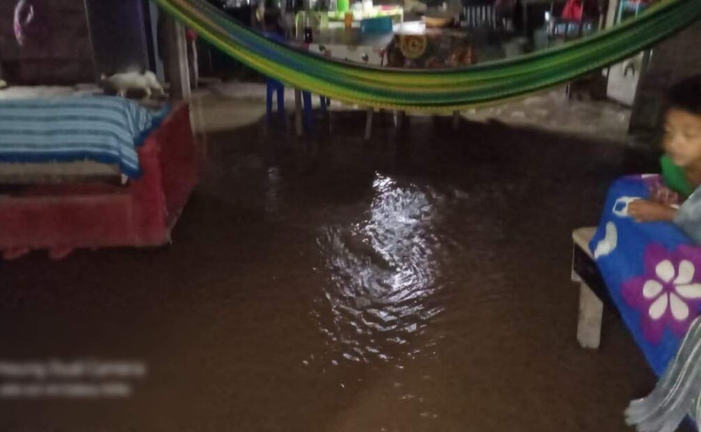 Se desborda río Uxpanapa tras fuertes lluvias en Oaxaca (20/02/2025). Foto: Especial