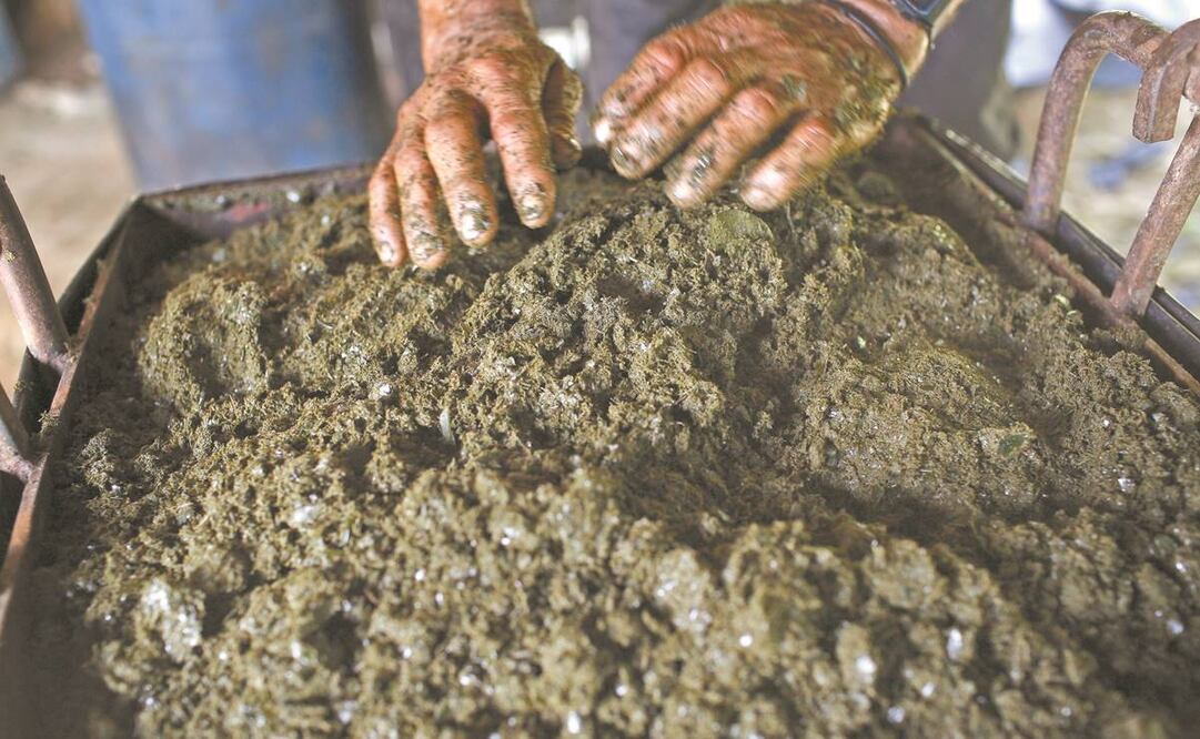 Hoja de coca mezclada con concreto y empapada en gasolina, en 2016, en Antioquia. Foto: Archivo/ AP.