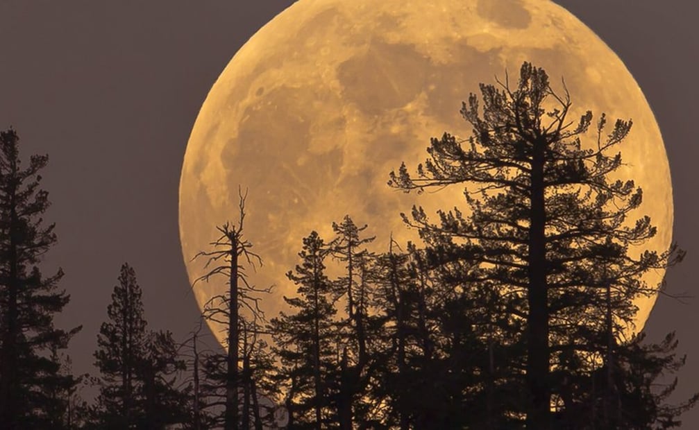 Este evento astrnómico será visible en la mayor parte del territorio mexicano y no requerirá ningún tipo de equipo especial para apreciarse. Foto: BBC