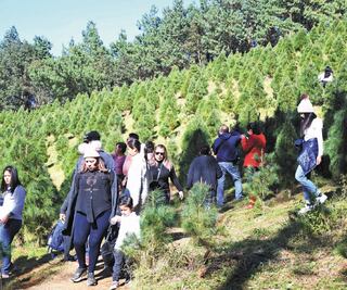 Las Vigas, capital de la Navidad veracruzana