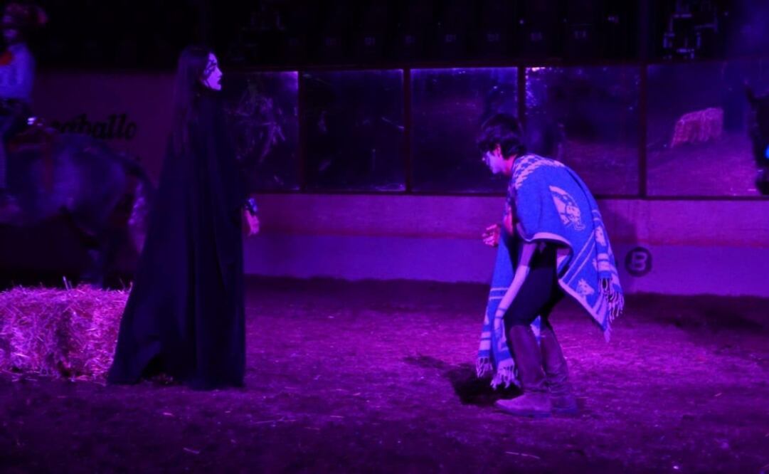 Foto: captura de pantalla