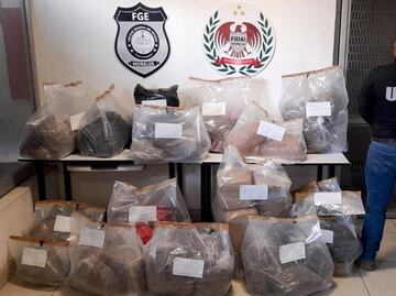 Decomisan casi 200 kilos de marihuana durante cateo en Morelos